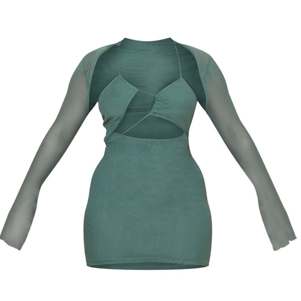 Sage Mesh Mini Dress